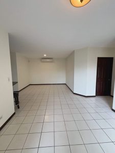 IMG_0101-compressed-scaled