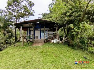 1-compressed-1-scaled