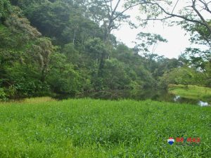 10-compressed-1-scaled