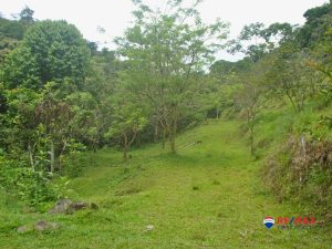 11-compressed-1-scaled