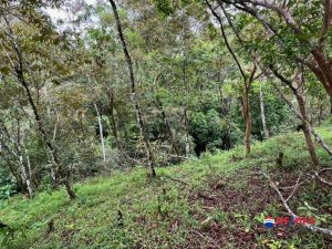 12-compressed-1-scaled