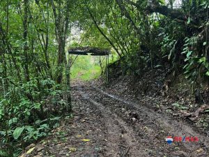 13-compressed-1-scaled