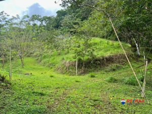 14-compressed-1-scaled