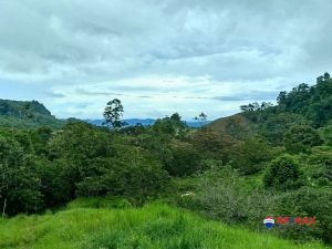 15-compressed-scaled