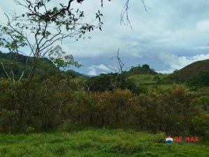 16-compressed-scaled