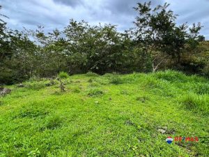 17-compressed-scaled