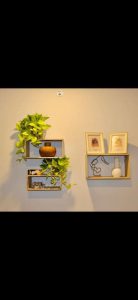 1817d850-b9e8-4b93-8949-12af75347acd-2