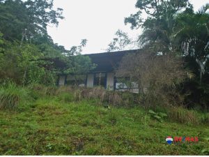 2-compressed-1-scaled