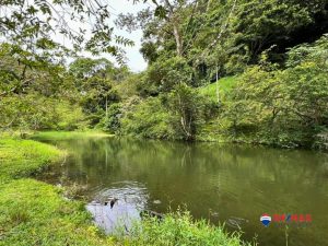 7-compressed-1-scaled