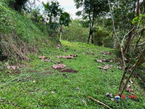 8-compressed-1-scaled