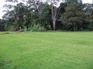 Beautiful-land-in-Sarapiqui-1-