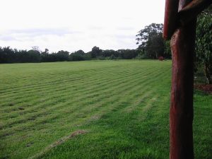 Beautiful-land-in-Sarapiqui-10-