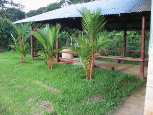 Beautiful-land-in-Sarapiqui-8-