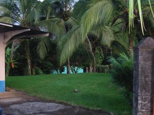 Beautiful-land-in-Sarapiqui-9-