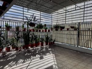 IMG_7199-compressed-scaled