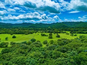 Santa-Cruz-Guanacaste-8-