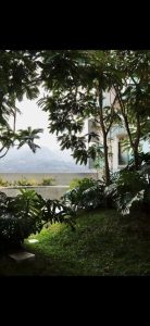 bddbfd83-f703-45b6-bd3c-ae1bfc3a0eea-2