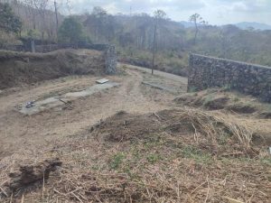 photo_2_2024-03-28_15-52-58