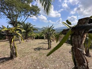 photo_51_2024-01-14_09-14-32