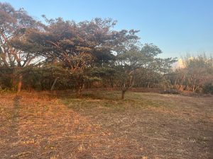 Hacienda La Garita Private Community1