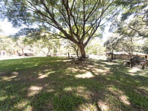 La Garita Nature & Equestrian Estate9