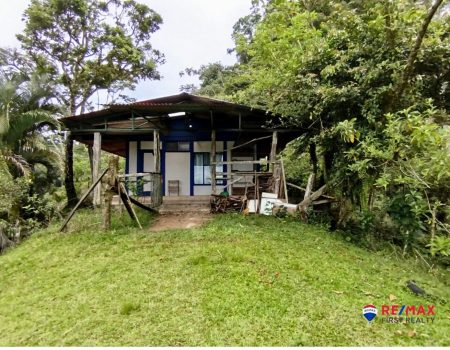 1-compressed-1-scaled