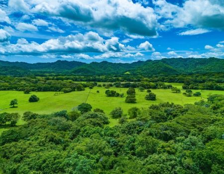 Santa-Cruz-Guanacaste-8-
